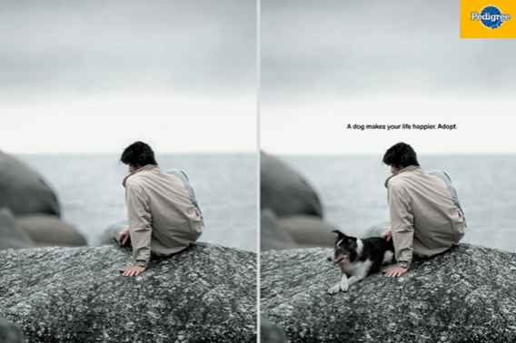 A Pedigree advertisement featuring a man sitting on a rock with a dog