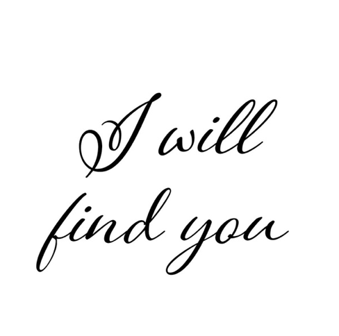 A cursive font with the writing 'I will find you'.