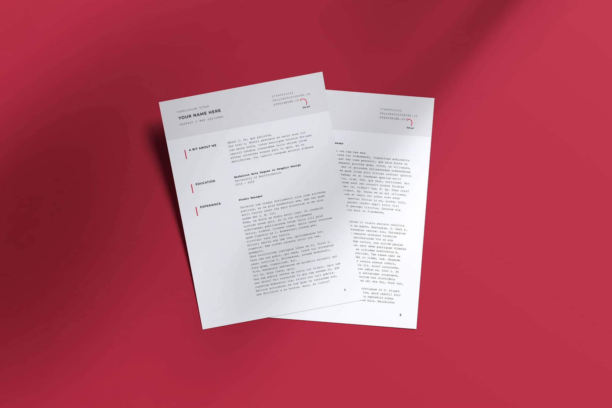 Free InDesign CV Template