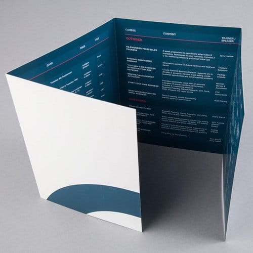Trifold PRinted flyer